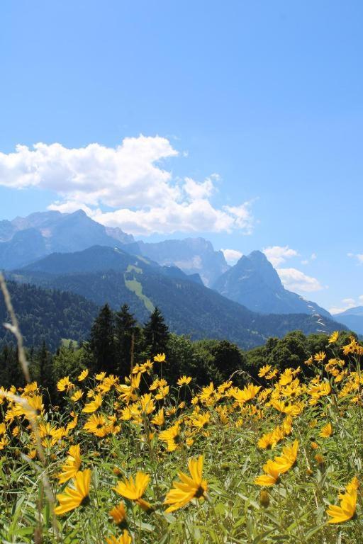 Pfeiffer Alm Am Sonnenhang Mit Blick Auf Die Zugspitze Garmisch-Partenkirchen Exterior photo